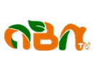 Logo of the channel "ABN TV Zambia"