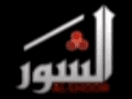 Logo of the channel "Al Shoor TV"