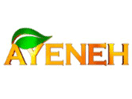 Logo of the channel "Ayeneh TV"