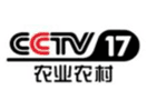 Logo of the channel "CCTV 17"