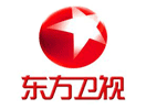 Logo of the channel "Dragon TV"