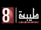 Logo of the channel "ERTU 8 Teba"