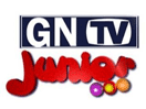 Logo of the channel "GNTV Ghana"