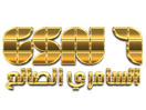 Logo of the channel "GSN7"