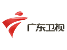Logo of the channel "Guangdong Satellite TV"