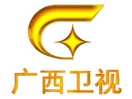 Logo of the channel "Guangxi TV"