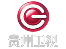 Logo of the channel "Guizhou TV"