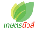 Logo of the channel "Kaset News"