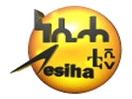 Logo of the channel "Nesiha TV"