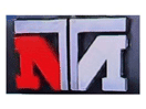 Logo of the channel "NTN News"
