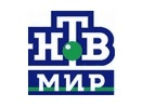 Logo of the channel "NTV (+4h)"