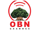 Logo of the channel "OBN Gaammee"