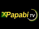 Logo of the channel "Papabi TV"