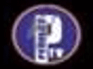 Logo of the channel "Perfect TV"