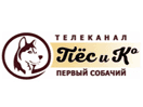Логотип каналу "Pes i Ko"