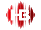 Logo of the channel "Radio NV (Novoe Vremya)"