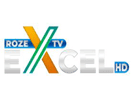 Logo of the channel "Roze Excel"