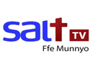 Logo of the channel "Salt TV"