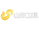 Logo of the channel "Shandong TV"