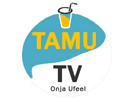 Logo of the channel "Tamu TV"