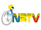 Logo of the channel "Tchad Radio"