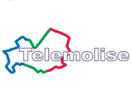 Логотип каналу "Telemolise Due"