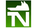 Логотип каналу "TeleNostra"