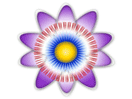 Logo of the channel "TV Cámara"
