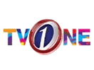 Logo of the channel "TV One"