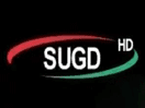 Logo of the channel "TV Sugd"