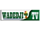 Логотип каналу "Wadedji TV"