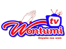 Logo of the channel "Wontumi TV"