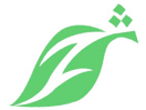 Logo of the channel "Zhwandoon TV"